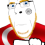 tvrkaryan.png